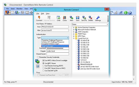 dameware mini remote control connection